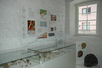 Ausstellung zur Archäologie im Museum im Seelhaus in Bopfingen