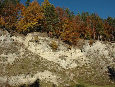 Geotopo sul sentiero didattico “Kühstein” (Mönchsdeggingen)
