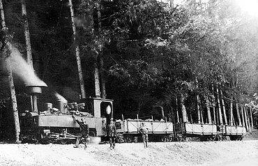 Transport von Suevit mit Kleinbahn, 1919
