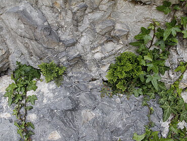 Rocce nel geotopo Kalvarienberg (Donauwörth-Wörnitzstein)